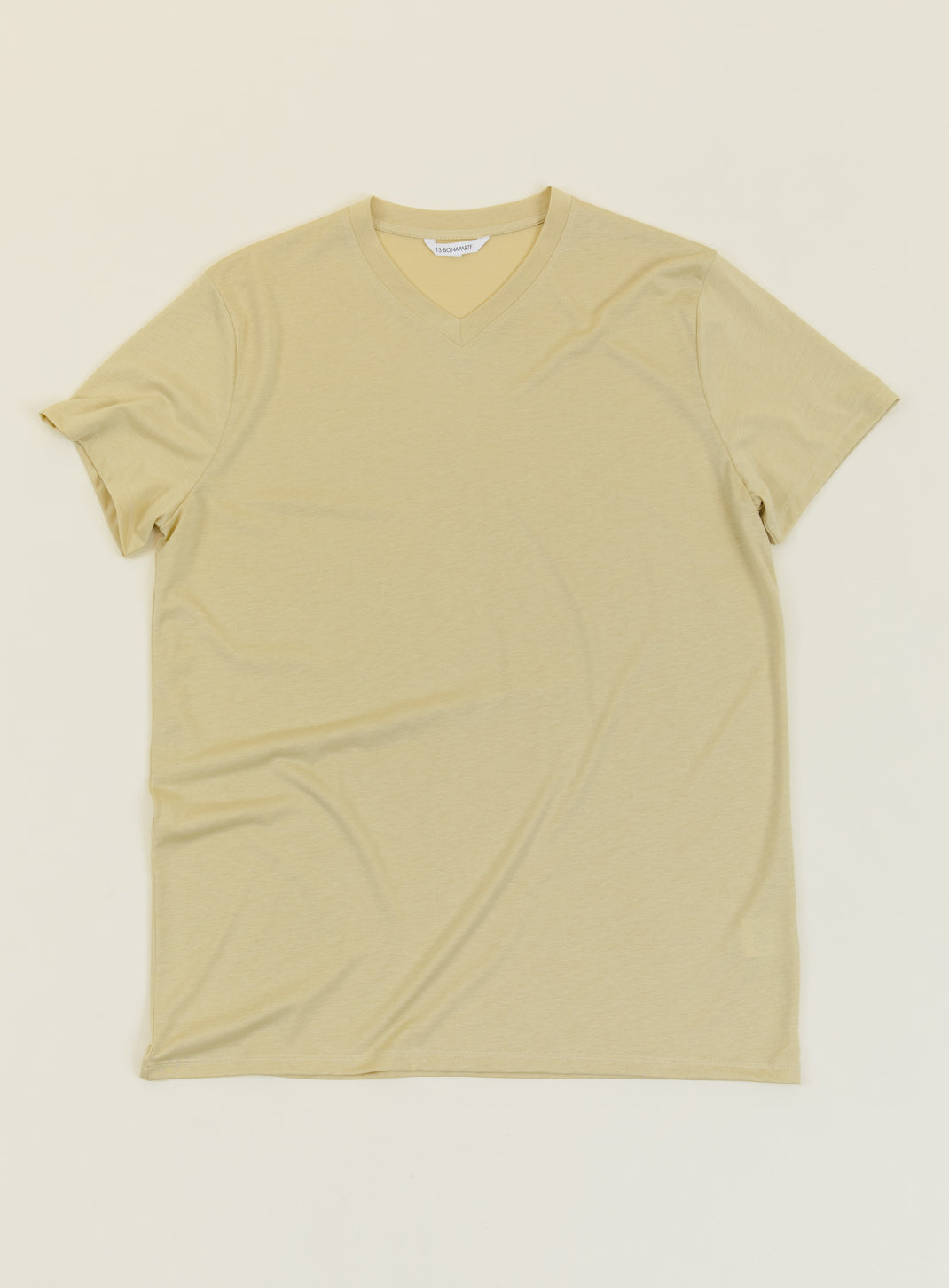 V Neck Short Sleeve T-Shirt in Ginger Eucalyptus & Cotton
