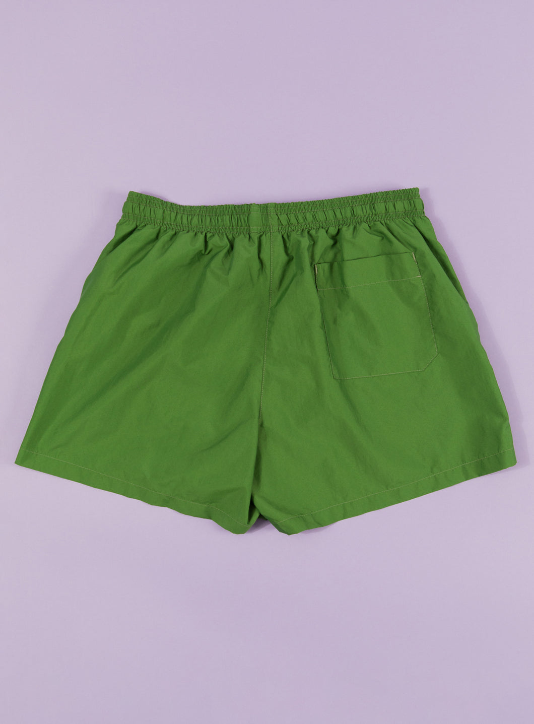 Swim Shorts in Kiwi Green Tactel