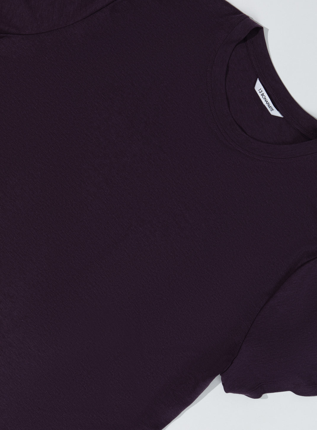 Short Sleeve T-Shirt in Eggplant Eucalyptus & Cotton