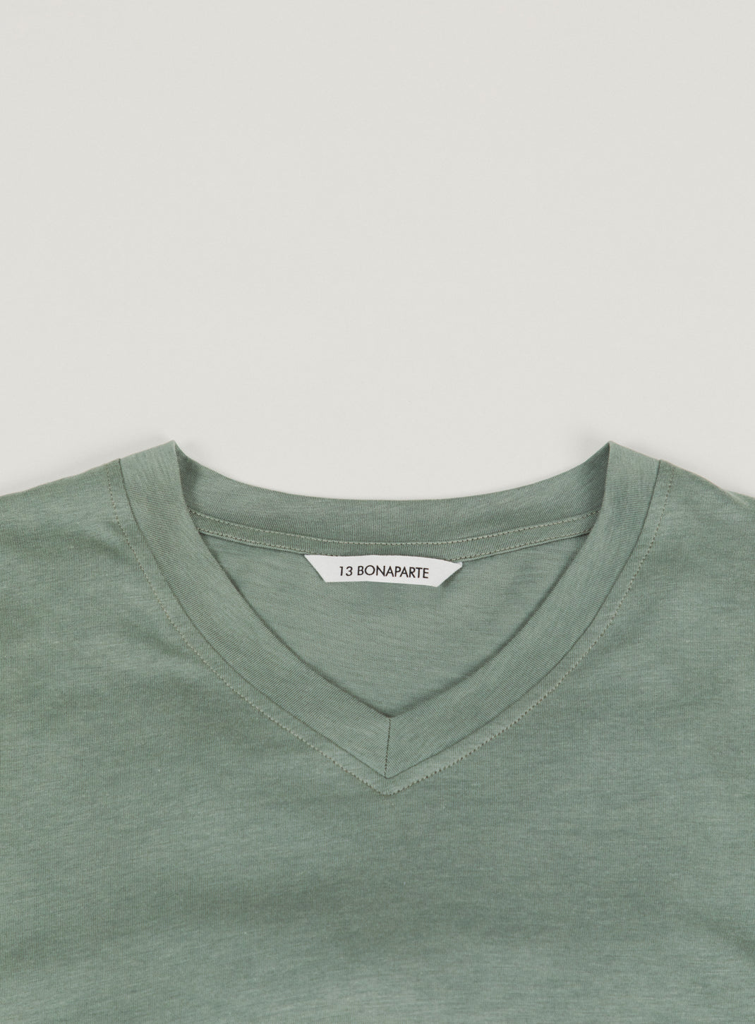 V Neck Short Sleeve T-Shirt in Clay Eucalyptus & Cotton