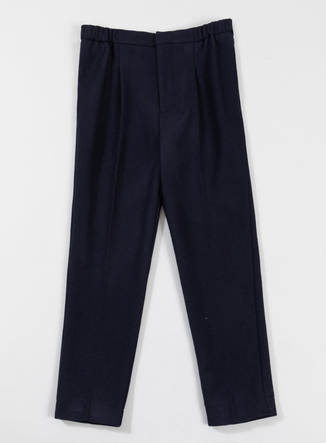 Pleated Pants in Navy Blue Wool